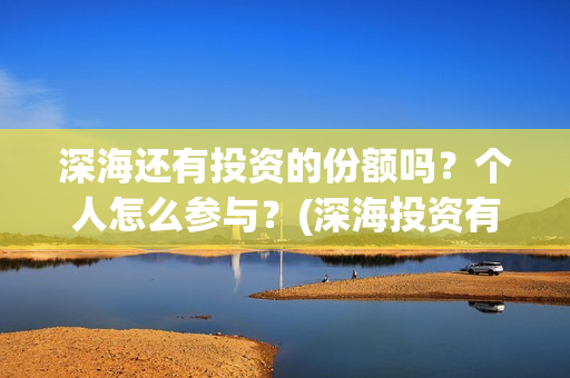 深海还有投资的份额吗？个人怎么参与？(深海投资有限公司)