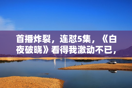 首播炸裂，连怼5集，《白夜破晓》看得我激动不已，潘粤明封神了