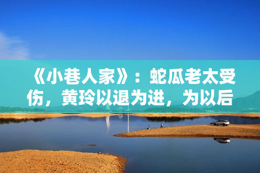 《小巷人家》：蛇瓜老太受伤，黄玲以退为进，为以后蓄力