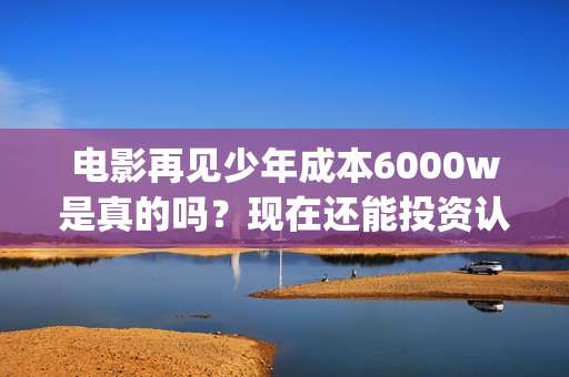 电影再见少年成本6000w是真的吗？现在还能投资认购份额吗？(电影《再见少年》)