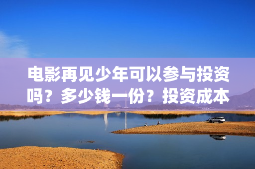 电影再见少年可以参与投资吗？多少钱一份？投资成本多少？(《再见少年》)