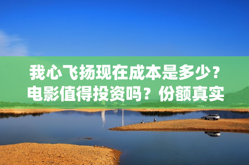 我心飞扬现在成本是多少？电影值得投资吗？份额真实吗？(我心飞扬是什么意思)