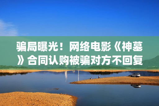 骗局曝光！网络电影《神墓》合同认购被骗对方不回复怎么办？怎么追回资金？(网络骗局叫什么)