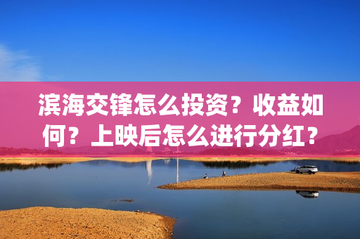 滨海交锋怎么投资？收益如何？上映后怎么进行分红？(滨海交通网)