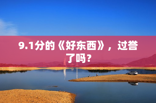 9.1分的《好东西》，过誉了吗？
