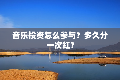 音乐投资怎么参与？多久分一次红？