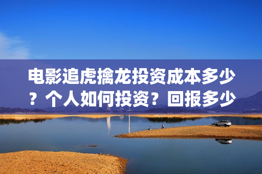 电影追虎擒龙投资成本多少？个人如何投资？回报多少？(电影追虎擒龙投屏播放)