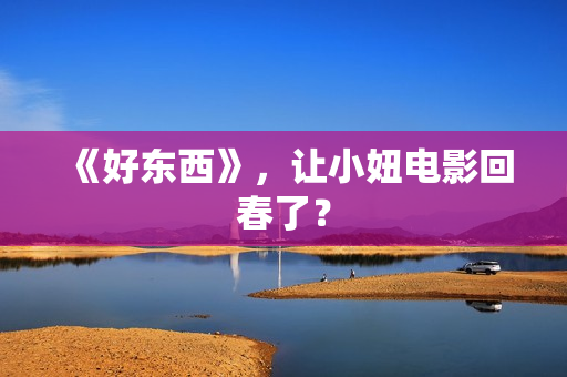 《好东西》，让小妞电影回春了？