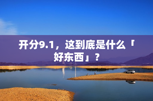 开分9.1，这到底是什么「好东西」？