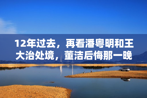12年过去，再看潘粤明和王大治处境，董洁后悔那一晚的“冲动”吗
