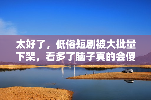 太好了，低俗短剧被大批量下架，看多了脑子真的会傻！