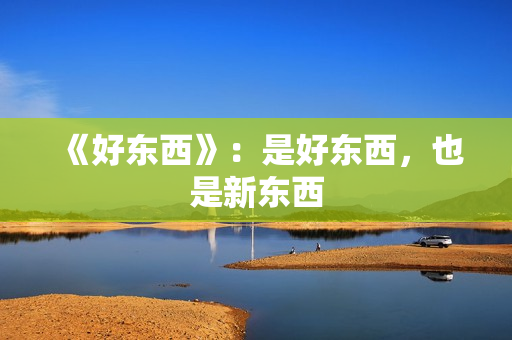 《好东西》：是好东西，也是新东西