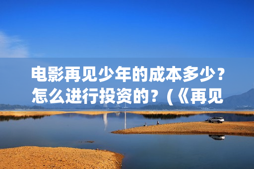电影再见少年的成本多少？怎么进行投资的？(《再见少年》)