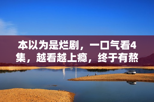 本以为是烂剧，一口气看4集，越看越上瘾，终于有熬夜追的剧了