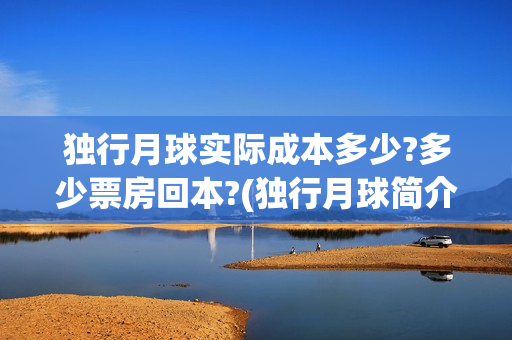 独行月球实际成本多少?多少票房回本?(独行月球简介)