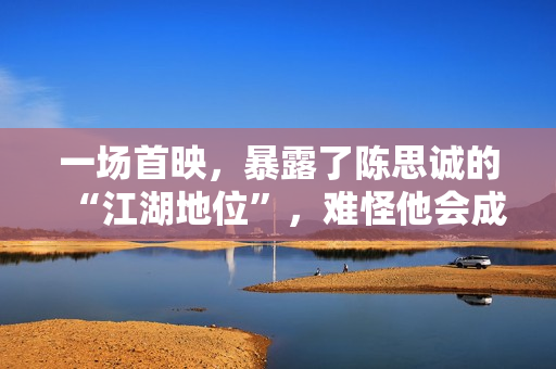 一场首映，暴露了陈思诚的“江湖地位”，难怪他会成为百亿导演