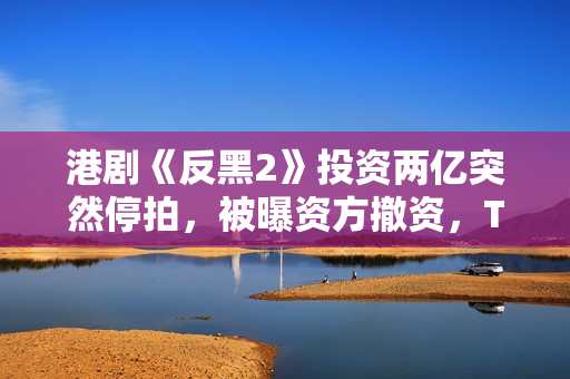 港剧《反黑2》投资两亿突然停拍，被曝资方撤资，TVB多位艺人参演