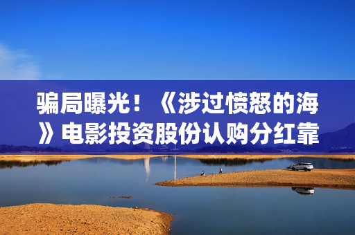 骗局曝光！《涉过愤怒的海》电影投资股份认购分红靠谱吗？认购没有消息怎么办？——抵制耐克(什么是涉诈模型)