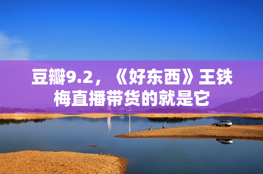 豆瓣9.2，《好东西》王铁梅直播带货的就是它