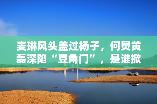 麦琳风头盖过杨子，何炅黄磊深陷“豆角门”，是谁掀起全民骂战？