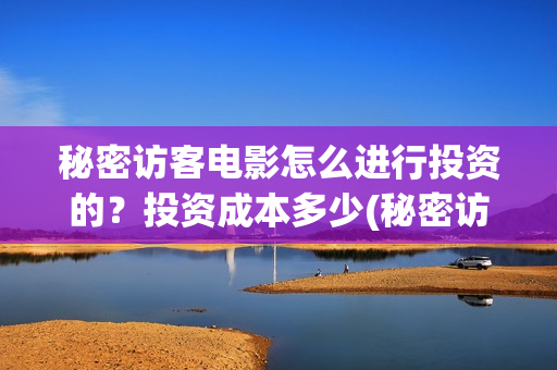 秘密访客电影怎么进行投资的？投资成本多少(秘密访客电影名)
