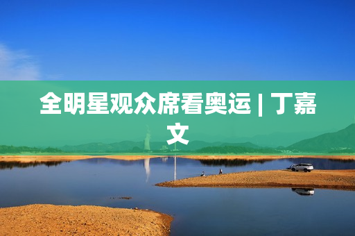 全明星观众席看奥运 | 丁嘉文