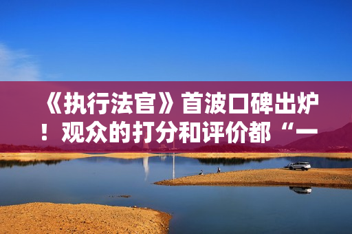 《执行法官》首波口碑出炉！观众的打分和评价都“一针见血”