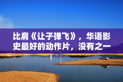 比肩《让子弹飞》，华语影史最好的动作片，没有之一！