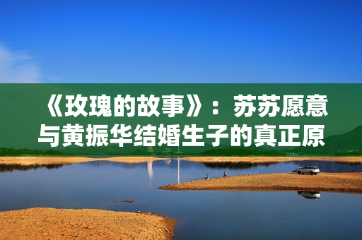 《玫瑰的故事》：苏苏愿意与黄振华结婚生子的真正原因被我找到了