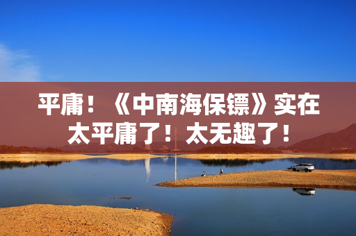 平庸！《中南海保镖》实在太平庸了！太无趣了！