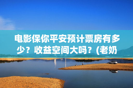 电影保你平安预计票房有多少？收益空间大吗？(老奶奶说保你平安什么意思)