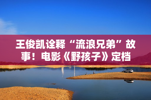 王俊凯诠释“流浪兄弟”故事！电影《野孩子》定档