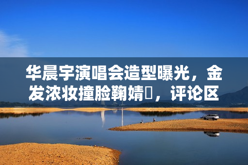 华晨宇演唱会造型曝光，金发浓妆撞脸鞠婧祎，评论区尴尬了