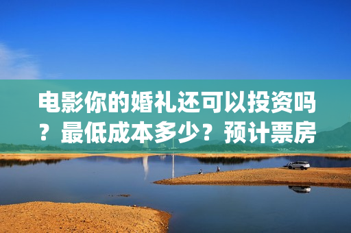 电影你的婚礼还可以投资吗？最低成本多少？预计票房(你的婚礼电影歌曲嘉宾)