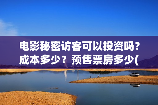 电影秘密访客可以投资吗？成本多少？预售票房多少(秘密访客电影啥意思)