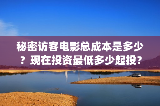 秘密访客电影总成本是多少？现在投资最低多少起投？怎么投资？(秘密访客电影内容)