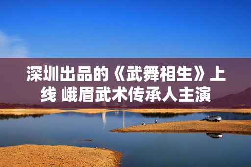 深圳出品的《武舞相生》上线 峨眉武术传承人主演