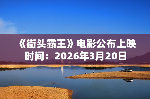 《街头霸王》电影公布上映时间：2026年3月20日