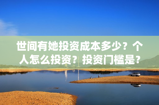 世间有她投资成本多少？个人怎么投资？投资门槛是？(世间有她电影投资)