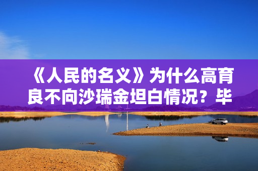 《人民的名义》为什么高育良不向沙瑞金坦白情况？毕竟他是一把手