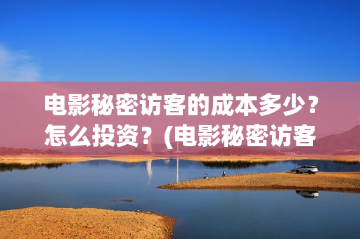 电影秘密访客的成本多少？怎么投资？(电影秘密访客的内容)