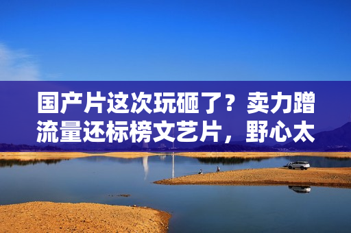 国产片这次玩砸了？卖力蹭流量还标榜文艺片，野心太大让口碑崩塌