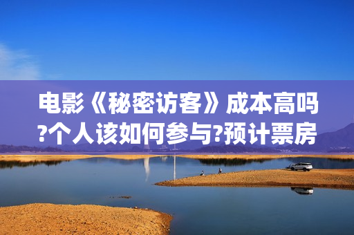电影《秘密访客》成本高吗?个人该如何参与?预计票房多少?(《秘密访客》上映)