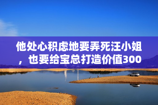 他处心积虑地要弄死汪小姐，也要给宝总打造价值300万的逃生通道