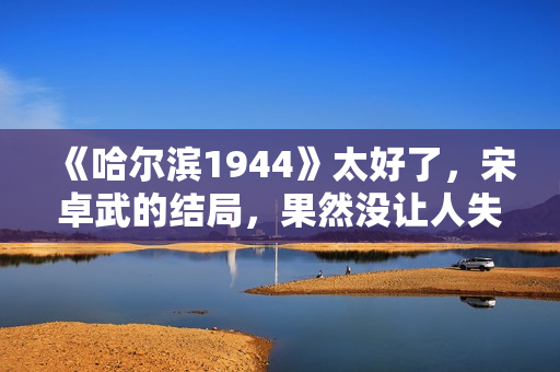 《哈尔滨1944》太好了，宋卓武的结局，果然没让人失望