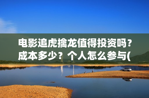 电影追虎擒龙值得投资吗？成本多少？个人怎么参与(电影《追虎擒龙》)
