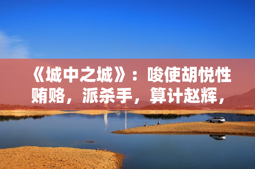 《城中之城》：唆使胡悦性贿赂，派杀手，算计赵辉，他是万恶之源