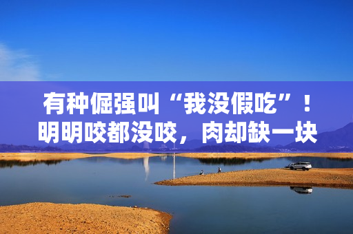 有种倔强叫“我没假吃”！明明咬都没咬，肉却缺一块，当观众瞎吗