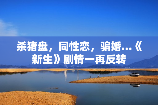 杀猪盘，同性恋，骗婚…《新生》剧情一再反转