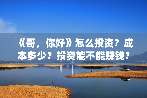 《哥，你好》怎么投资？成本多少？投资能不能赚钱？(哥哥hi你好)
